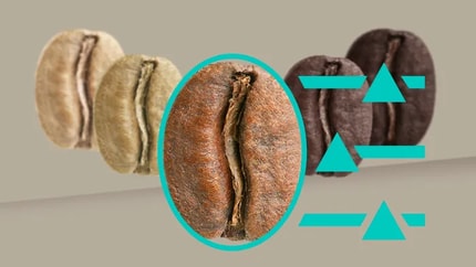 Abbildung Highlights