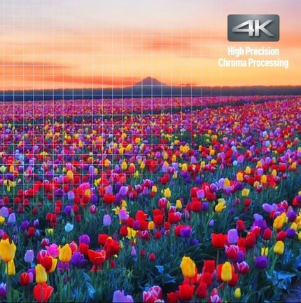 Abbildung Atemberaubende Farben und Details