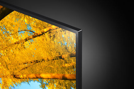 Abbildung Highlights im Überblick