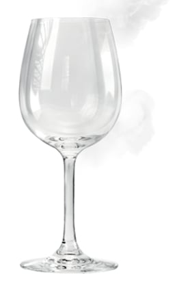 Abbildung SteamGloss®