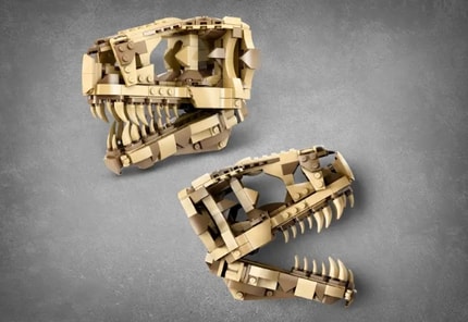 Abbildung Der Kiefer lässt sich öffnen