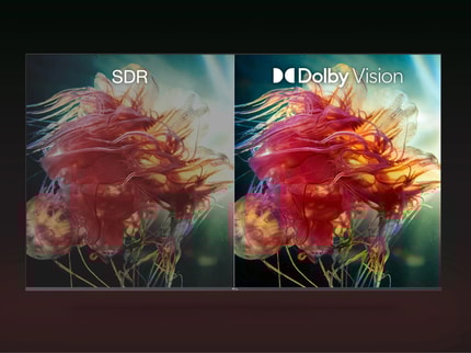 Abbildung 4k HDR TV mit ROKU TV und Game Master