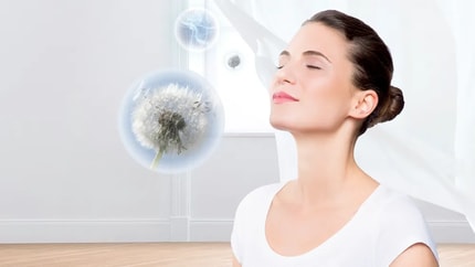 Abbildung Highlights