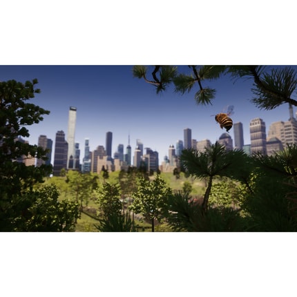 Abbildung Produktbeschreibung