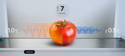 Abbildung Maximale Frische