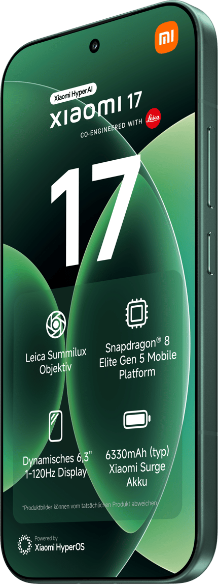 Abbildung Beschreibung