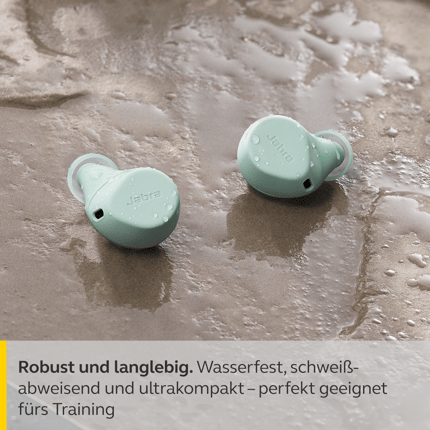 Abbildung Highlights