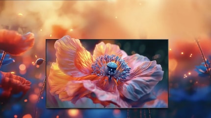 Abbildung QLED Colour