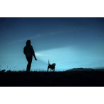 Abbildung Praktisch & gut