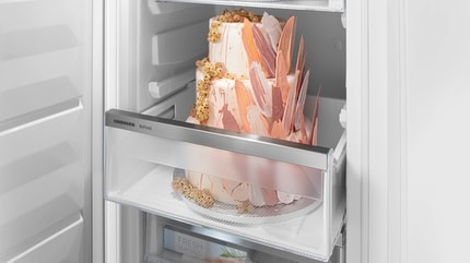 Abbildung Highlights