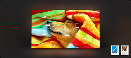 Abbildung Erlebe die ganze Bandbreite echter Farben