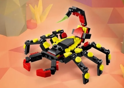 Abbildung Bunter Skorpion