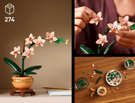 Abbildung Ein von der Natur inspiriertes Projekt