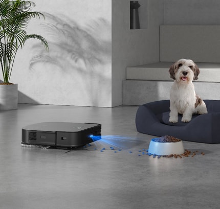 Abbildung Haustierfreundlicher Modus