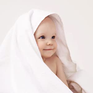 Abbildung Highlights