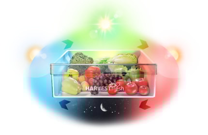 Abbildung HarvestFresh