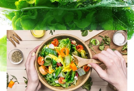 Abbildung Lebensmittel bleiben länger frisch