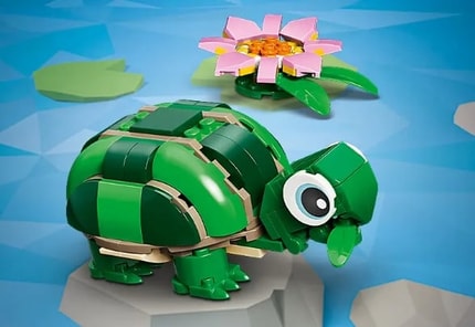 Abbildung Schildkröten-Spielzeug