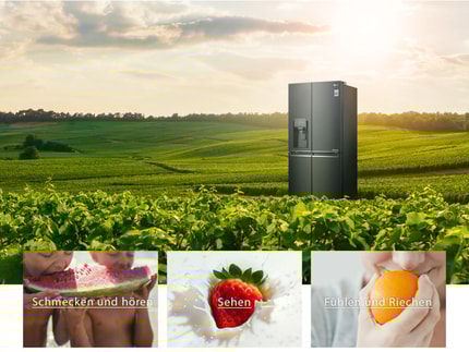 Abbildung Erfreut Ihre Sinne