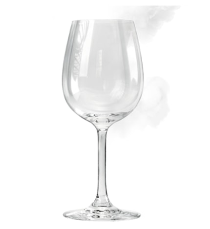 Abbildung SteamGloss®