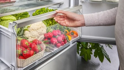 Abbildung Ideale Temperatur für Obst und Gemüse, sowie Fleisch und Fisch.