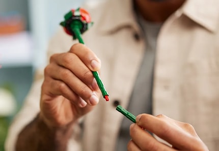 Abbildung Elegante, pflegeleichte Flora