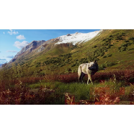 Abbildung Produktbeschreibung