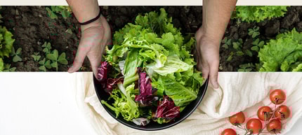 Abbildung NatureFRESH®