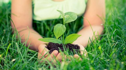 Abbildung Highlights