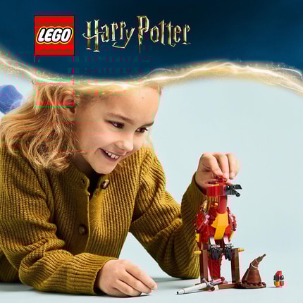 Abbildung Magisches Harry Potter™ Geschenk für Kinder