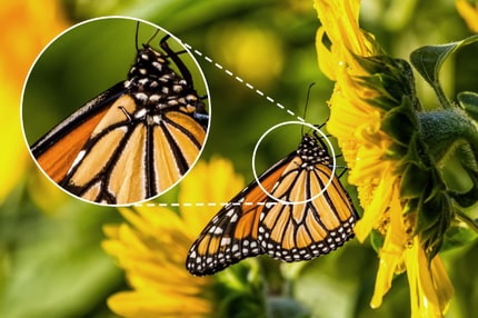 Abbildung So smart wie noch nie