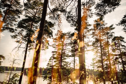 Abbildung Allround-Weitwinkelzoom