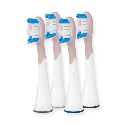 Abbildung Aufsteckbürsten für die ganze Familie