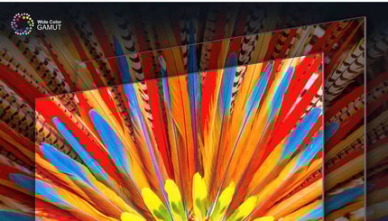 Abbildung Wide Color Gamut