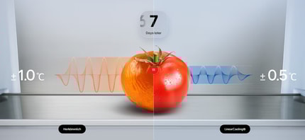 Abbildung Maximale Frische