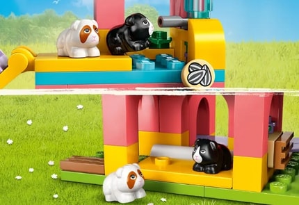 Abbildung Tierpflege