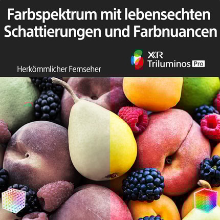 Abbildung X95K