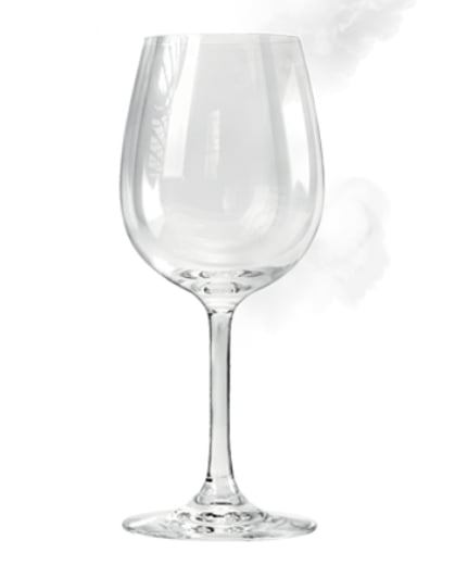 Abbildung SteamGloss®