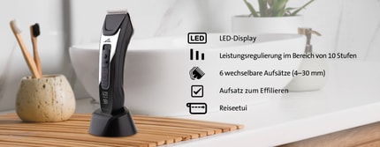 Abbildung Beschreibung