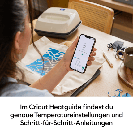 Abbildung Beschreibung