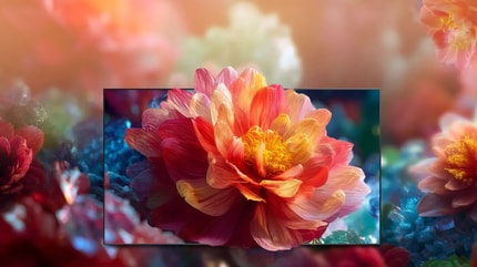 Abbildung Hi-QLED Colour