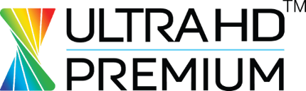 Abbildung Top Features  Top Features