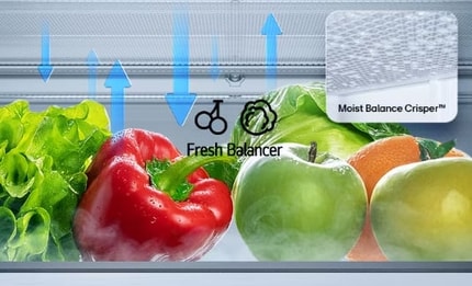 Abbildung FRESHBalancer®