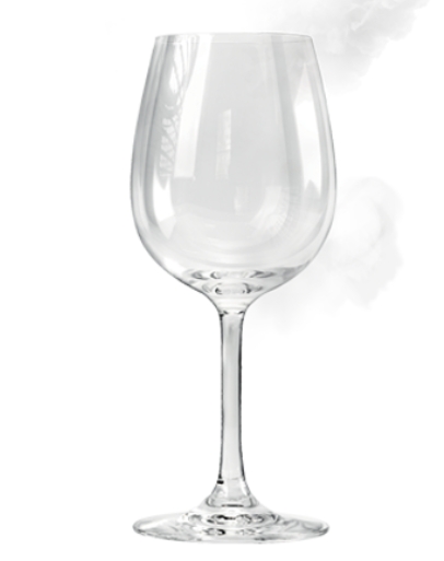 Abbildung SteamGloss®