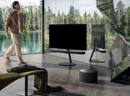 Abbildung Loewe inspire