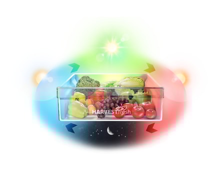 Abbildung HarvestFresh