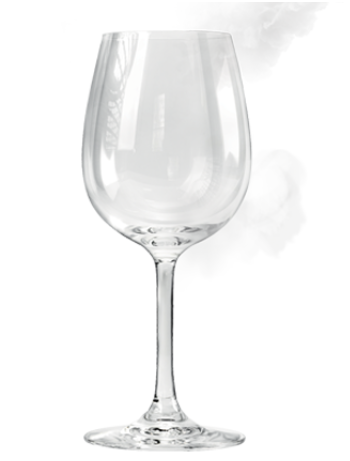 Abbildung SteamGloss®