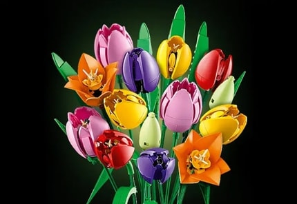 Abbildung Lebendige Farben