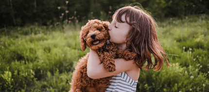 Abbildung 4K AI Upscaling