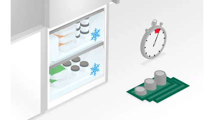 Abbildung Highlights